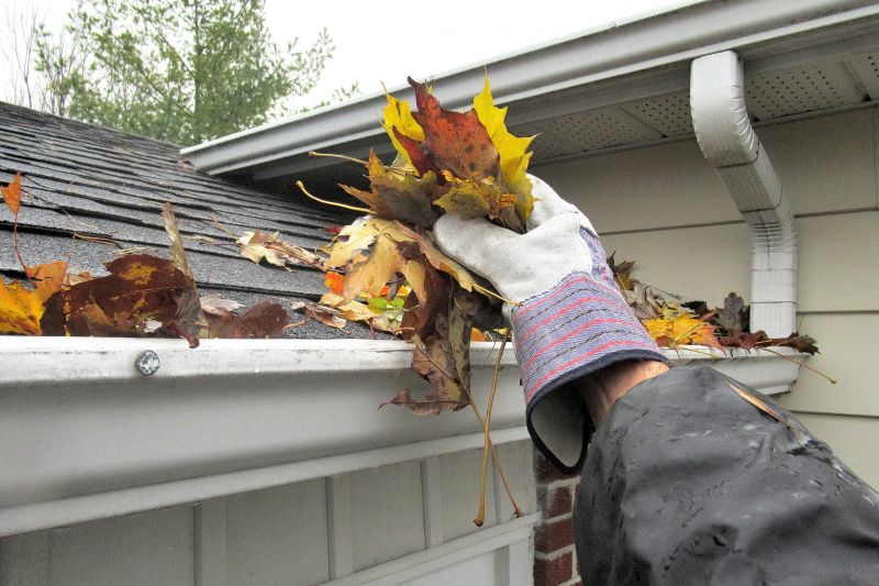 Roof and Gutter Inspection