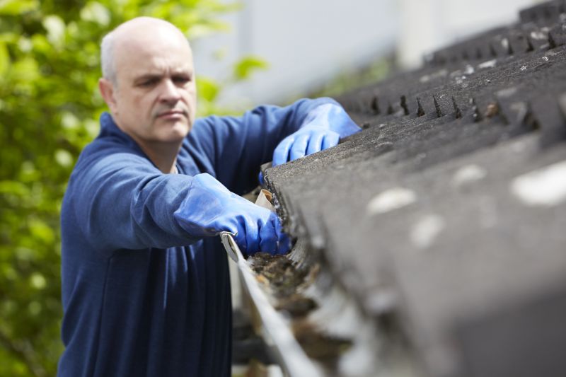 Why Choose Local Springfield Gutter Experts